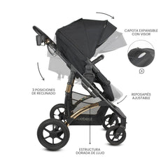 COCHE SPRING GOLD BLACK  PREMIUM